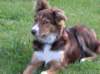 ilovelola5monthsold3_small.jpg
