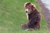 ilovelola5monthsold4_small.jpg