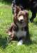 ilovelola6monthsold2_small.jpg