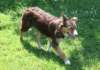 ilovelola6monthsold_small.jpg