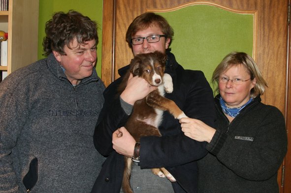 ilovelola9weeksoldnewowners2.jpg