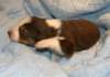 iloveluke14daysold2_small.jpg