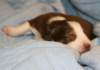 iloveluke14daysold_small.jpg
