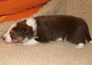 iloveluke19daysold2.jpg