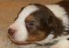 iloveluke19daysold3_small.jpg