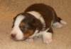 iloveluke19daysold4_small.jpg