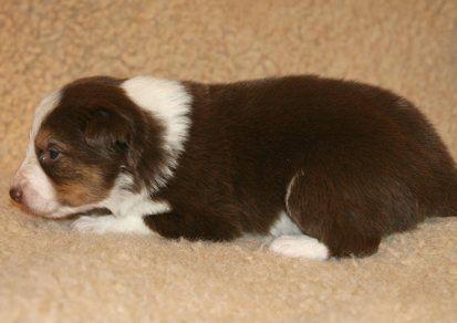 iloveluke19daysold5.jpg
