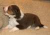 iloveluke19daysold6_small.jpg