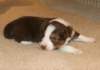 iloveluke19daysold_small.jpg