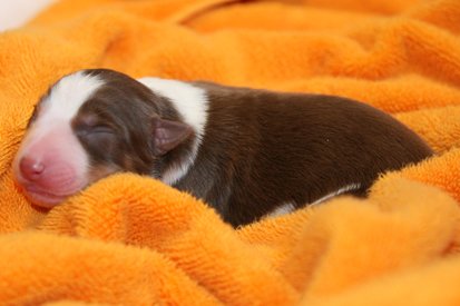 iloveluke1dayold4.jpg