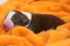 iloveluke1dayold4_small.jpg