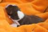 iloveluke1dayold_small.jpg