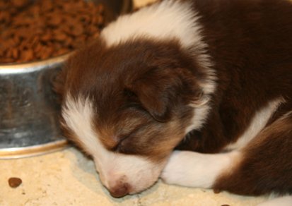 iloveluke28daysold.jpg