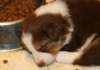 iloveluke28daysold_small.jpg