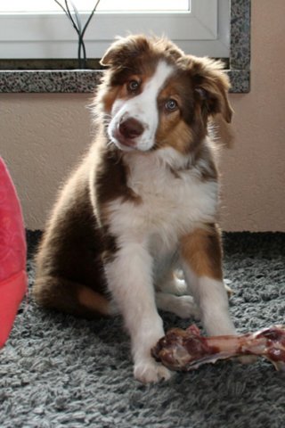 iloveluke35monthsold.jpg