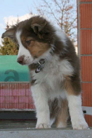 iloveluke3monthsold2.jpg