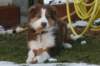 iloveluke3monthsold5_small.jpg
