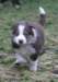 iloveluke42daysold5_small.jpg
