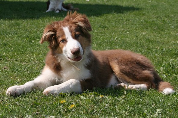 iloveluke4monthsold2.jpg
