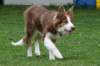 iloveluke5monthsold4_small.jpg