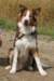iloveluke7monthsold_small.jpg