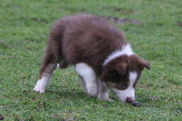 iloveluke7weeksold2.jpg