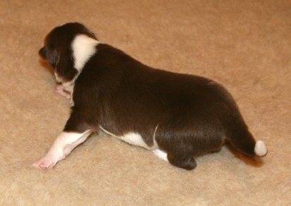 iloveluke9daysold.jpg