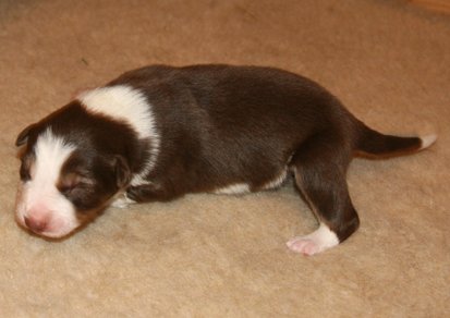 iloveluke9daysold2.jpg