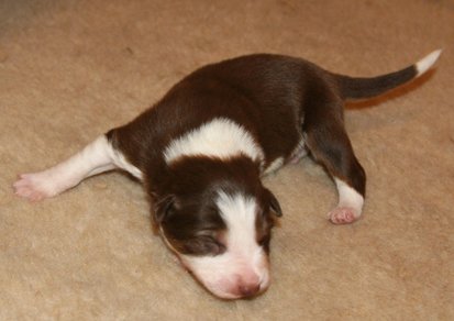iloveluke9daysold3.jpg