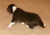 iloveluke9daysold_small.jpg