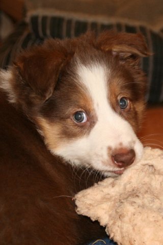 luke8weeksold.jpg
