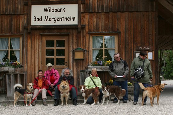lukesdogschoolvisitinganimalpark.jpg