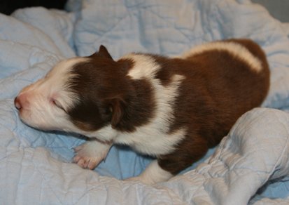ilovelula14daysold2.jpg