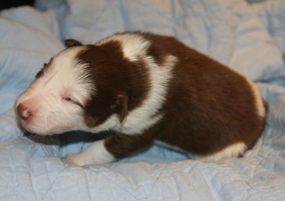 ilovelula14daysold3.jpg