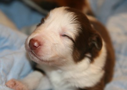 ilovelula14daysold5.jpg