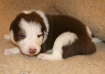 ilovelula19daysold2.jpg