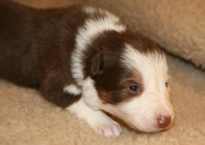 ilovelula19daysold3.jpg