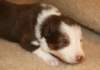 ilovelula19daysold3_small.jpg