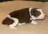 ilovelula19daysold4_small.jpg