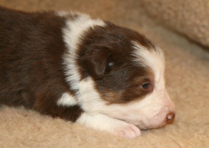 ilovelula19daysold6.jpg