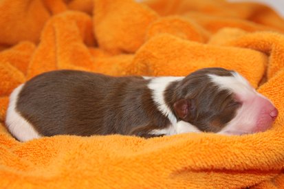 ilovelula1dayold.jpg