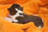 ilovelula1dayold3_small.jpg