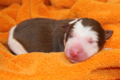 ilovelula1dayold4.jpg