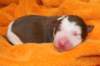 ilovelula1dayold4_small.jpg