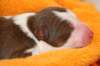 ilovelula1dayold5_small.jpg