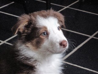 ilovelula85weeksold.jpg