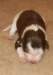 ilovelula9daysold2_small.jpg