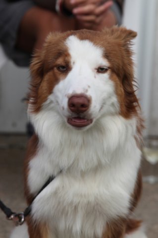 ilovelula9monthsold.jpg