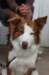 ilovelula9monthsold2_small.jpg