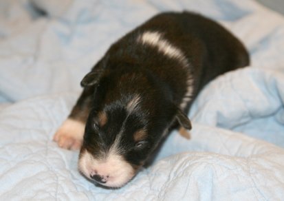 ilovemikie14daysold7.jpg